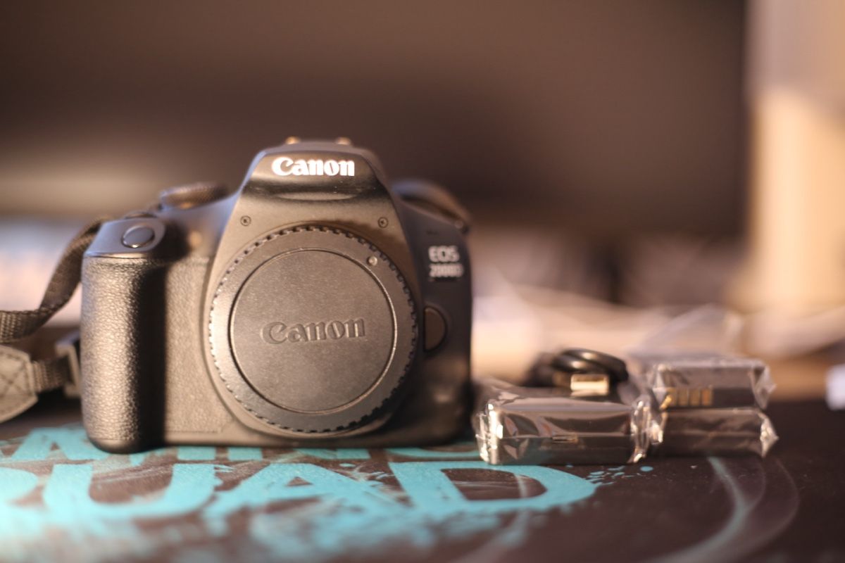 Canon Fotocamera: Canon EOS 2000D + 3 Akkus – Usato da Wädenswil venduto da dai_2bcv 7