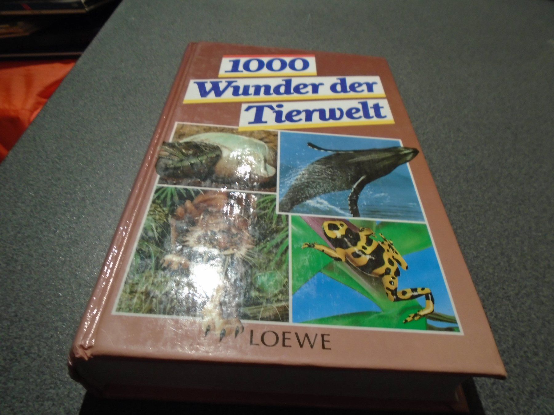 Livres: 1000 Wunder der Tierwelt, Nikolaus Lenz – D'occasion à Zürich par abraxas1291
