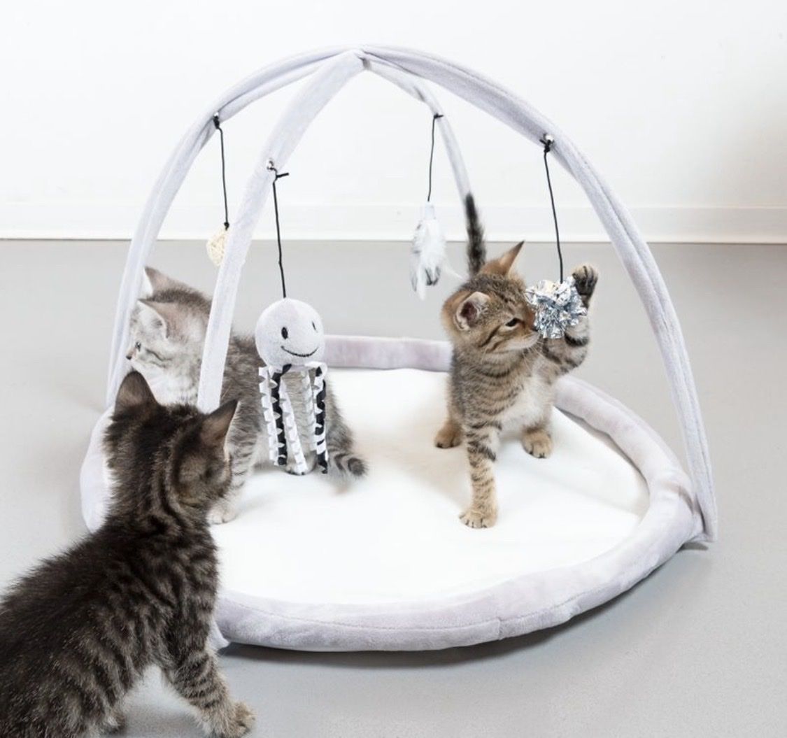 Tiro con l'arco: Katzen Spielbogen – Usato da Thun venduto da Jimmuli