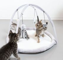 Katzen Spielbogen