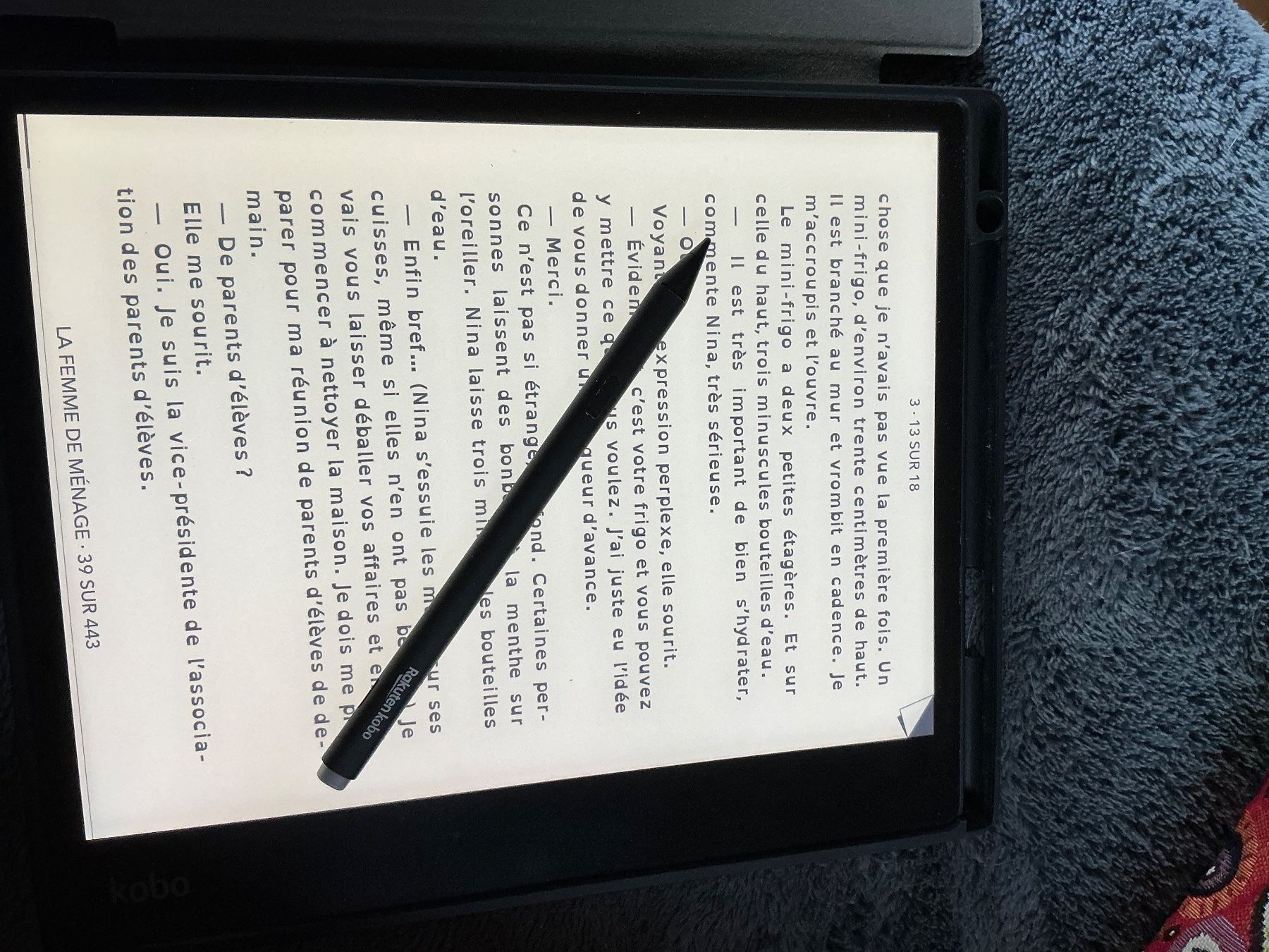 Kobo Tablet PC: Liseuse Kobo Elipsa – Usato da Les Vérines venduto da Muverans72
