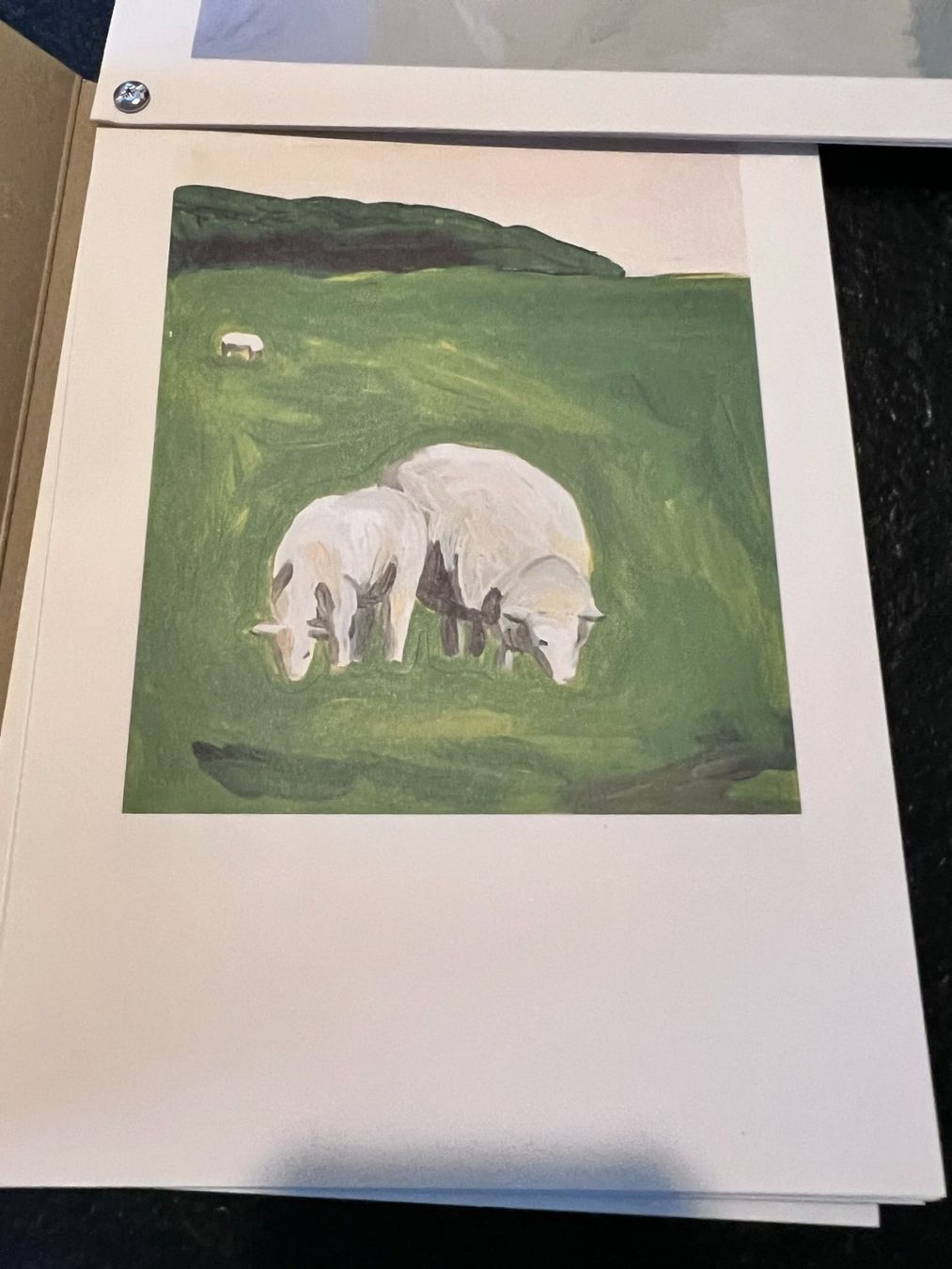 Libri: Yuko Murata: "Nowhere to be found", 2005, First edition – Nuovo (secondo la descrizione) da Ebikon venduto da altiplano 4