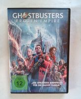 Ghostbusters: Frozen Empire (DVD)