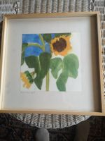 Bild von F. Gehr Altstätten Sonnenblumen