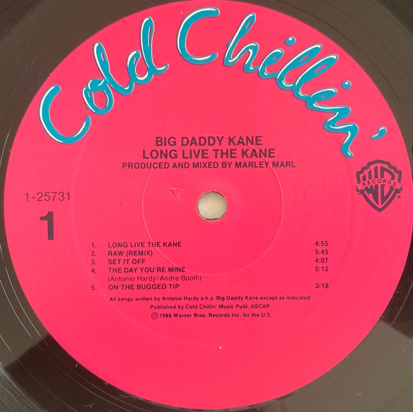 Dischi in vinile: BIG DADDY KANE - LONG LIVE THE KANE – Usato da Poliez-Pittet venduto da Newtown-Records 2
