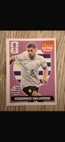 Autocollant Panini Coupe du Monde: Federico Valverde!