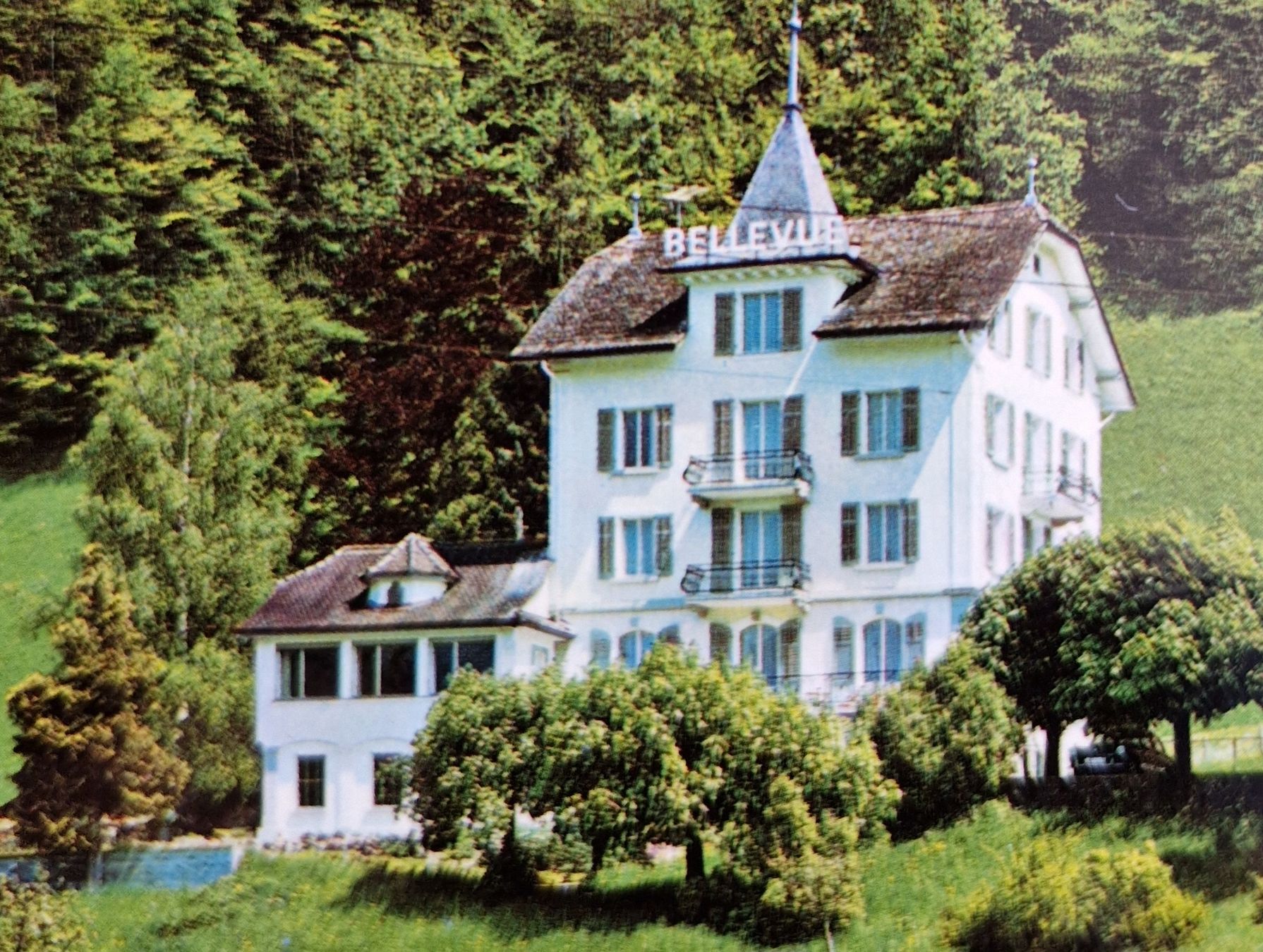 Cartoline postali: ehem. Hotel Bellevue, Morschach – Usato da Ebikon venduto da Donar50 1