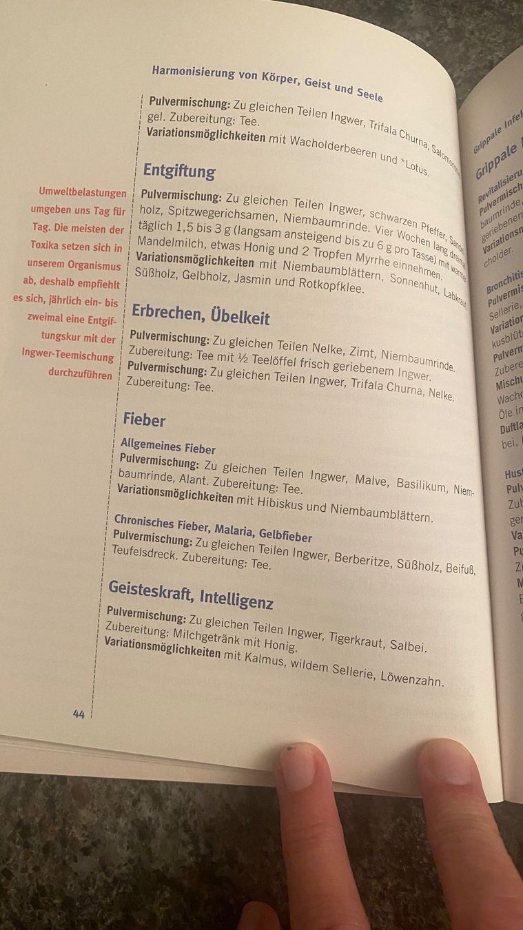 Bücher: Ingwer wirkt Wunder – Gebraucht aus luzern von bar_5gtr 2