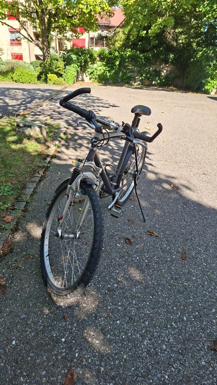 Vélos: Velo Gallus – D'occasion à Pfäffikon SZ par Milu88 1