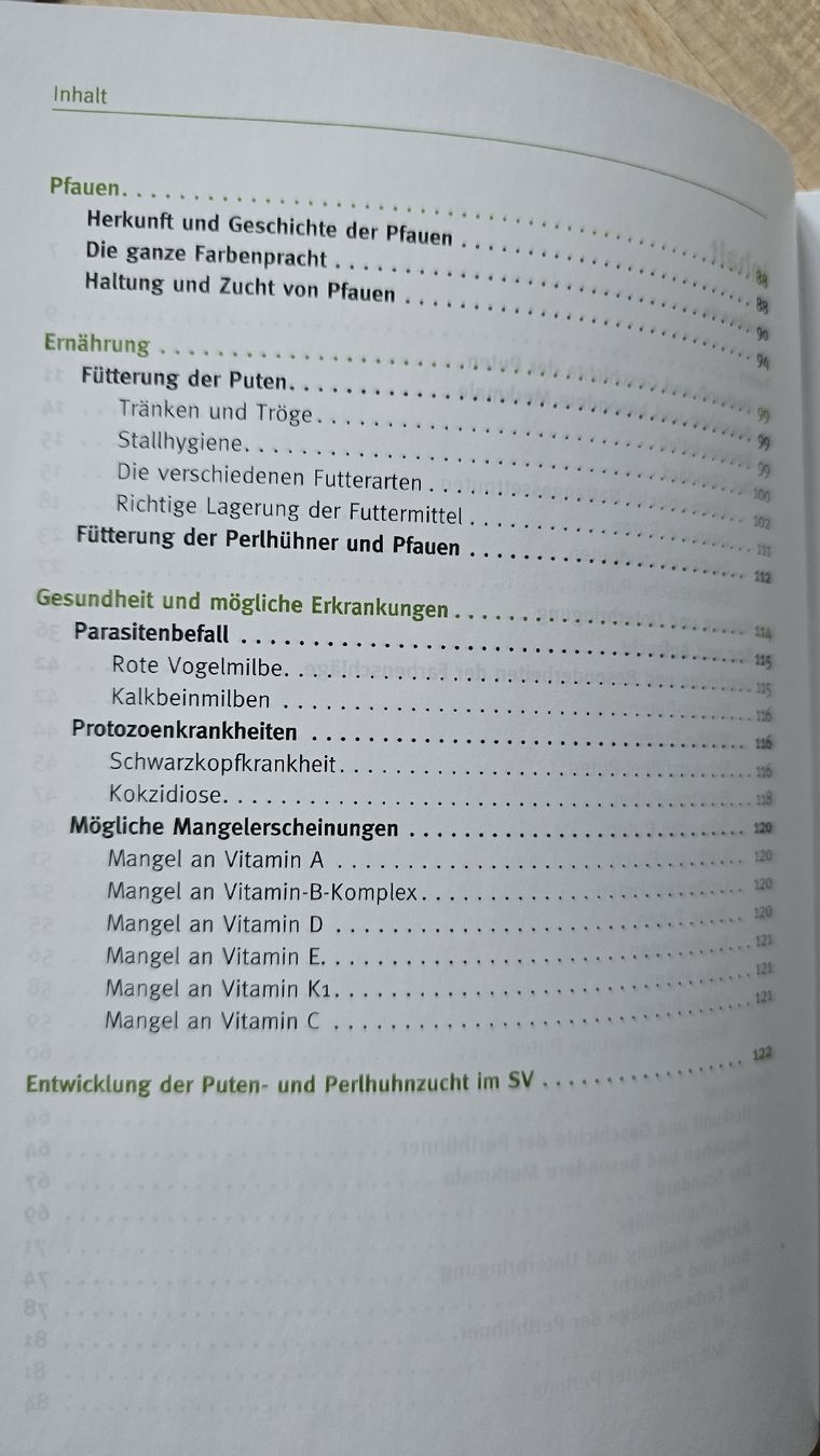 Libri: Puten, Perlhühner und Pfauen halten – Nuovo (secondo la descrizione) da Rüthi (Rheintal) venduto da Sinhue 2