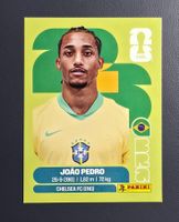 BRA 16 - João Pedro - Panini FIFA World Cup 2026 UE