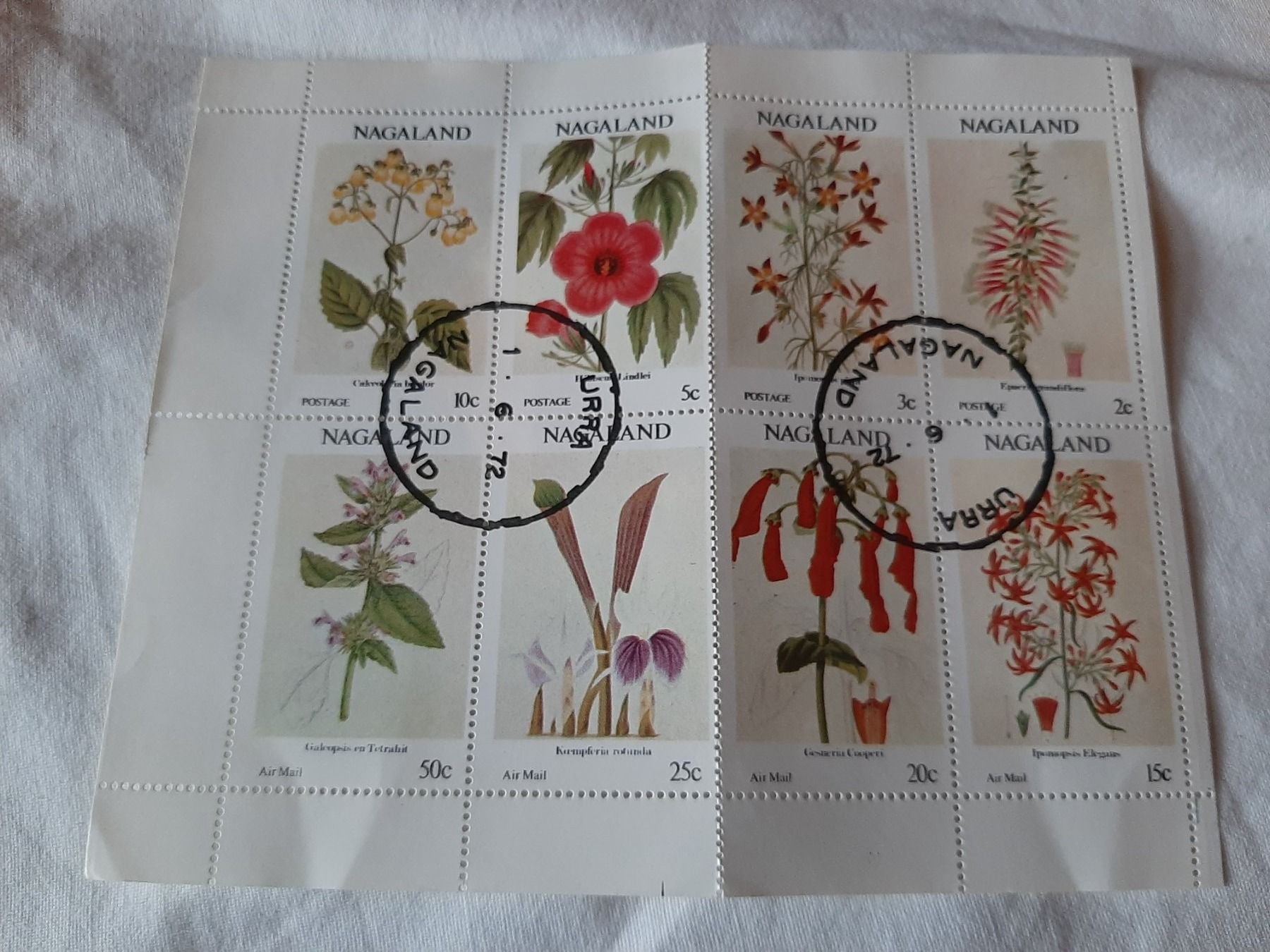 Tutti i francobolli: Briefmarken NAGALAND – Usato da Wilderswil venduto da SFSw