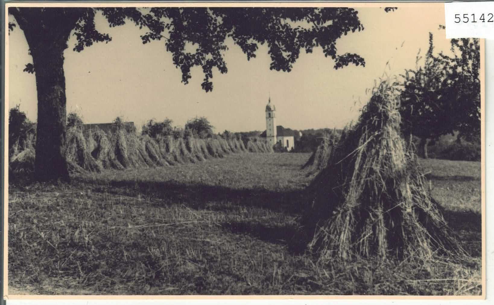 Cartoline postali: Heuernte im Sommer – Usato da Ettingen venduto da Kartenplanet