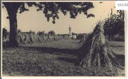 Heuernte im Sommer