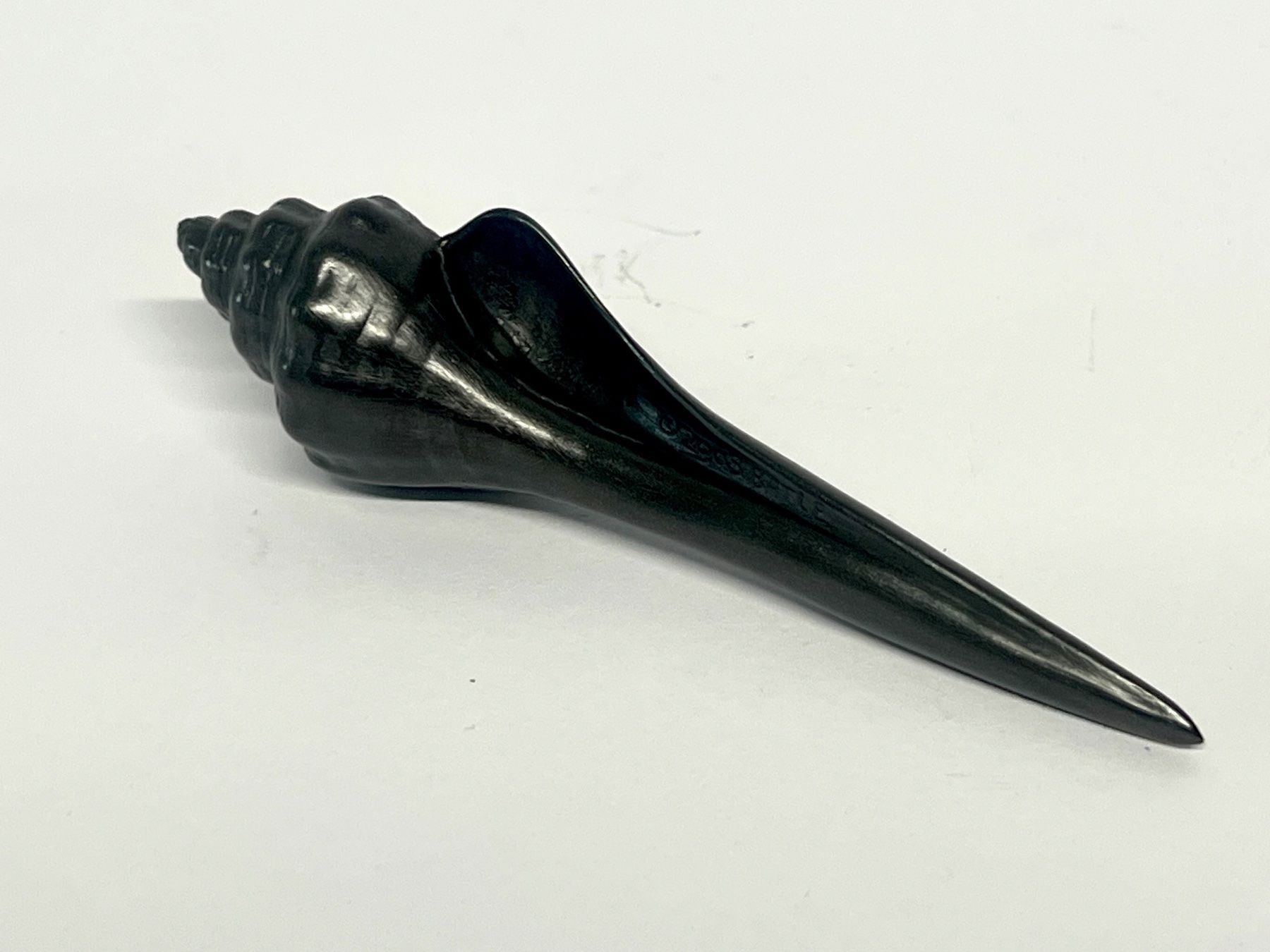 Fossili: BATLE STUDIO Small Shell Graphit-Schreibskulptur OVP – Usato da Zürich venduto da Arche_Brockenhaus 4