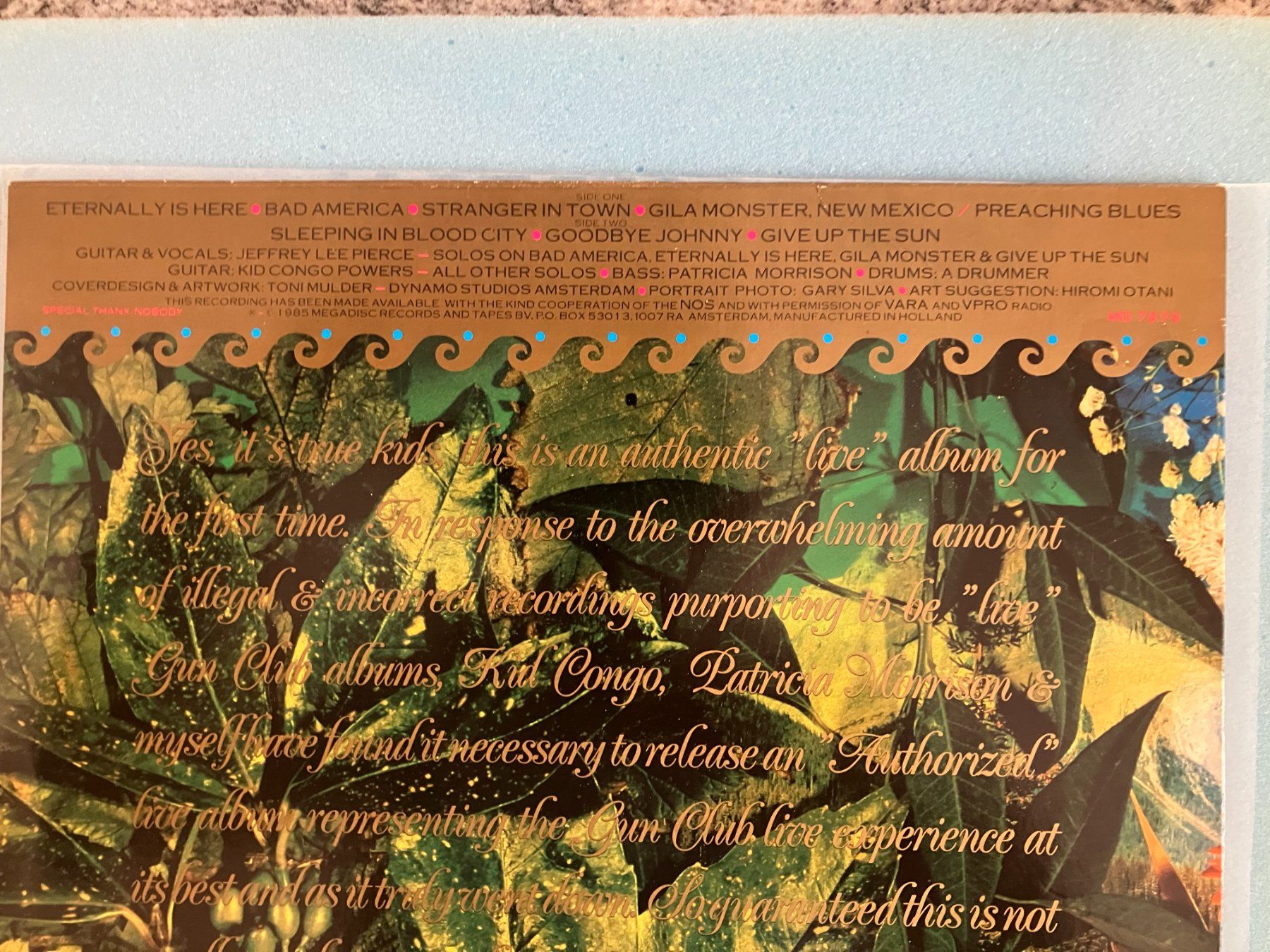 Dischi in vinile: The Gun Club – Usato da Aarwangen venduto da Jukebox3 3