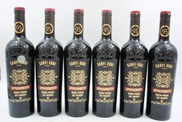 6x Campi Rudi Passito Appassimento 2024 (26081760Z)