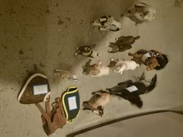 Schleich Pferde Konvolut, Schleich