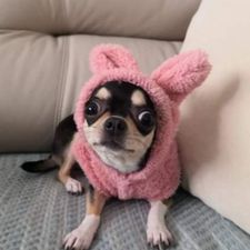 Profile image of dora_nina