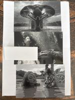 3 Fotokunst Fotos