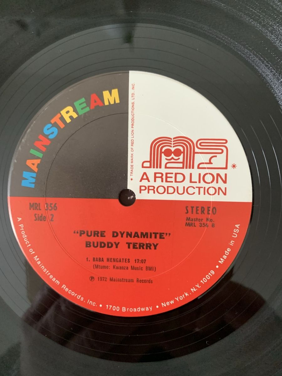 Dischi in vinile: Buddy Terry/Pure Dynamite(Stanley Clarke) – Usato da lausanne venduto da Ccheche 2