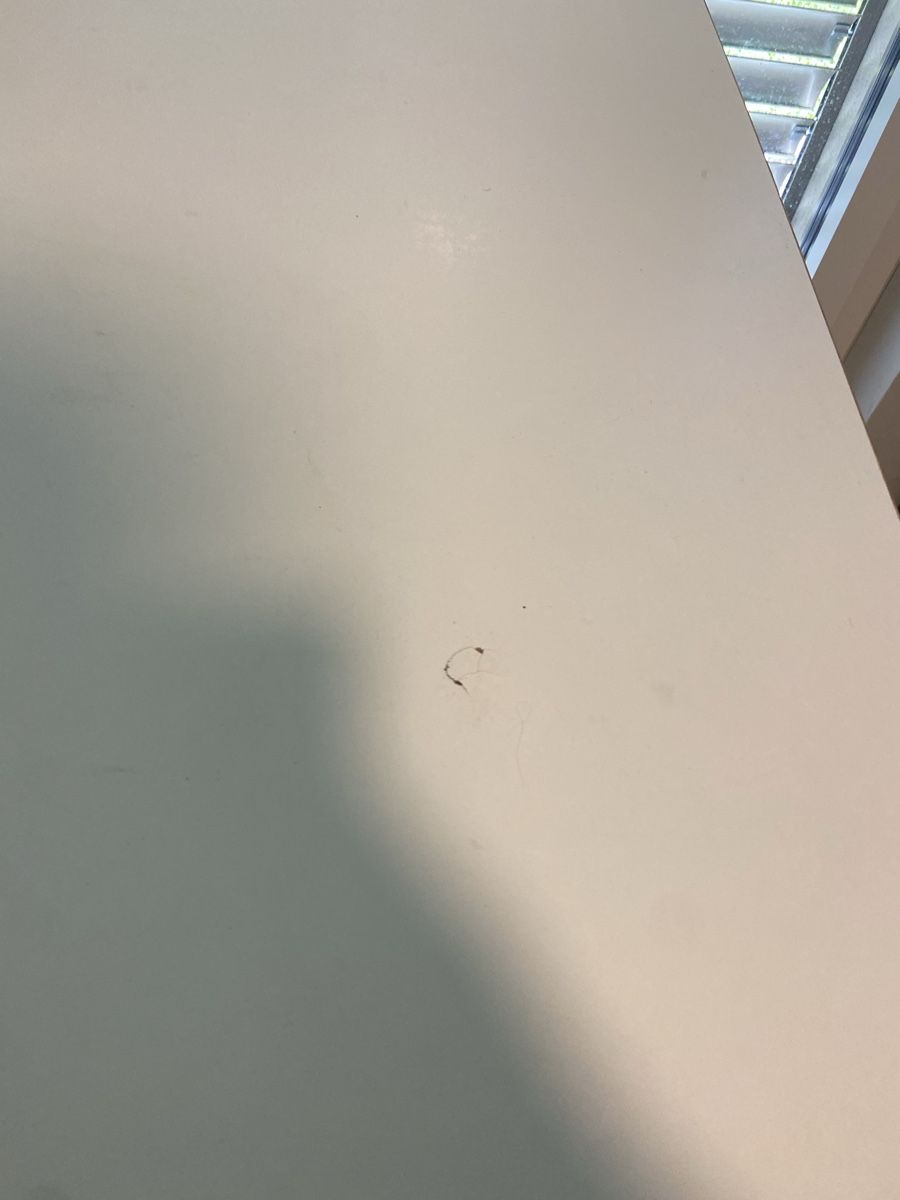 Micasa Scrivanie: Büropult Eiche/Weiss 180x80 – Usato da Stans venduto da ematyi 2