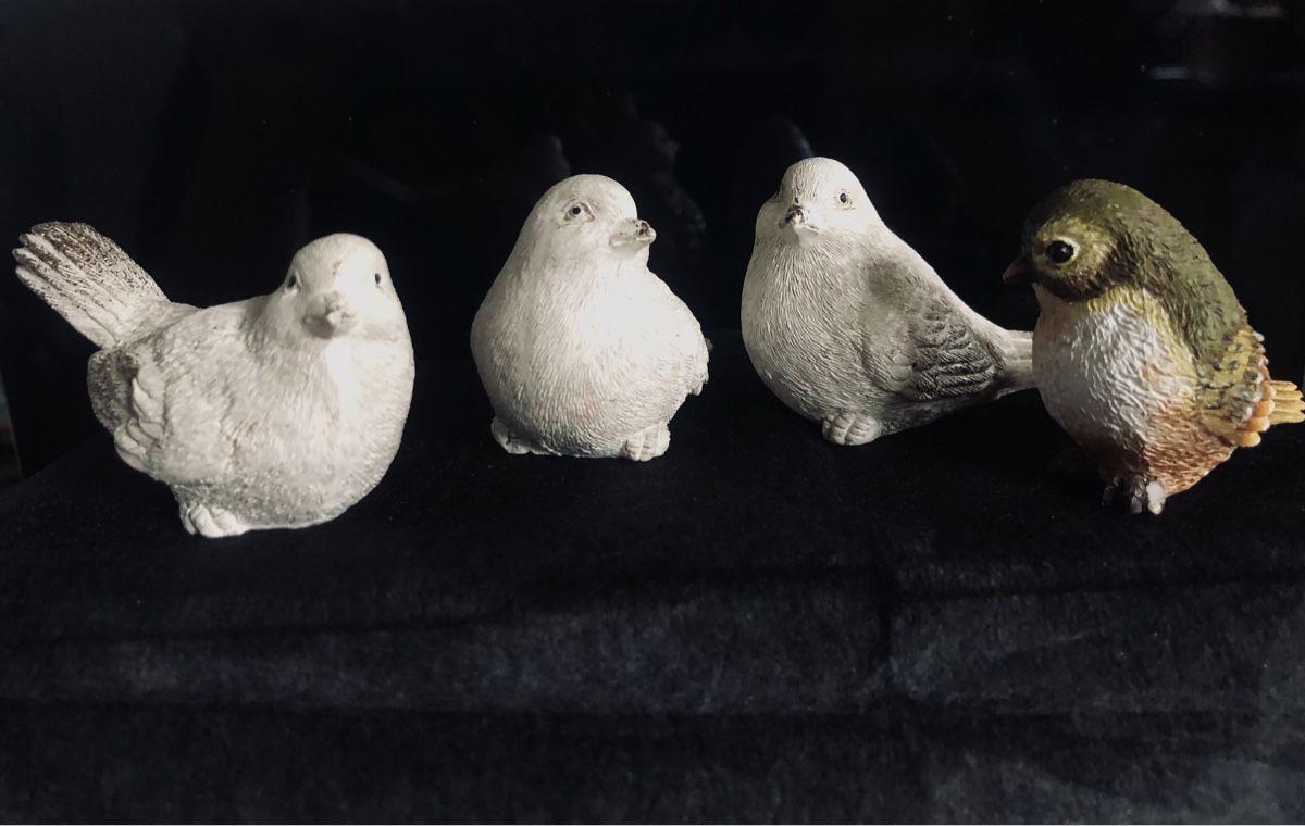Tutte le decorazioni: Vögeli für Dekoration – Usato da Niederlenz venduto da lil_jxk8 2