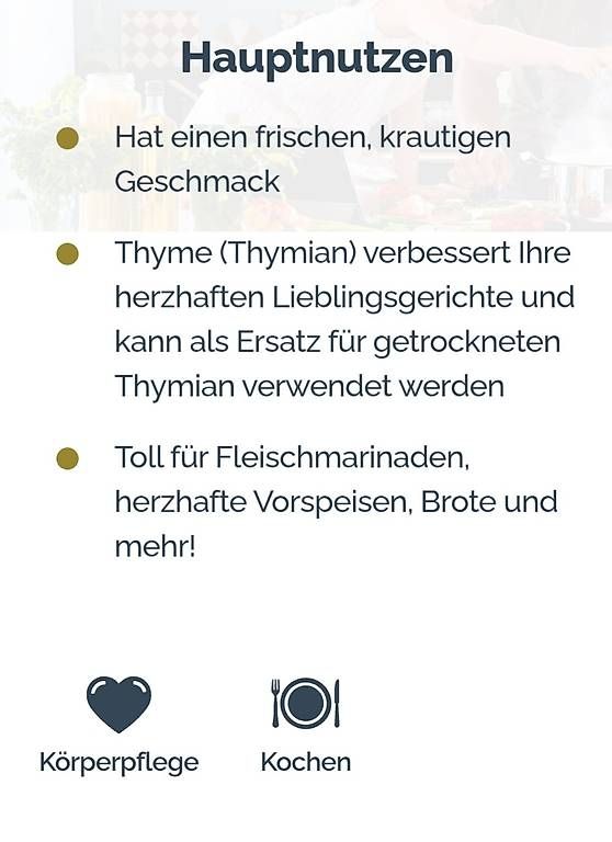 Doterra Oli essenziali: Dõterra Thyme – Nuovo e nell'imballaggio originale da Lyss venduto da Infinia 2