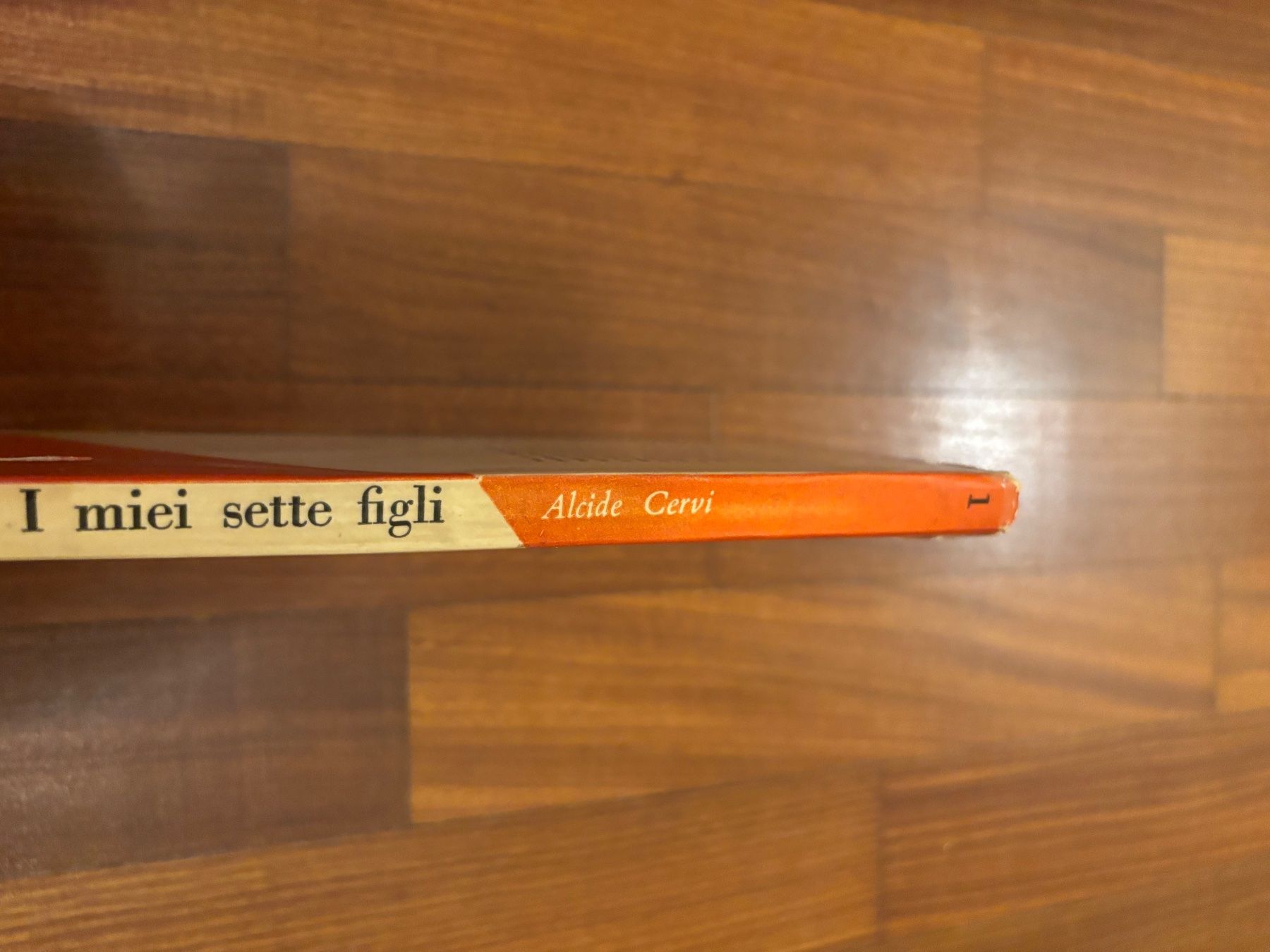 Libri: I Miei Sette Figli – Usato da Lugano venduto da Mark_Young 1