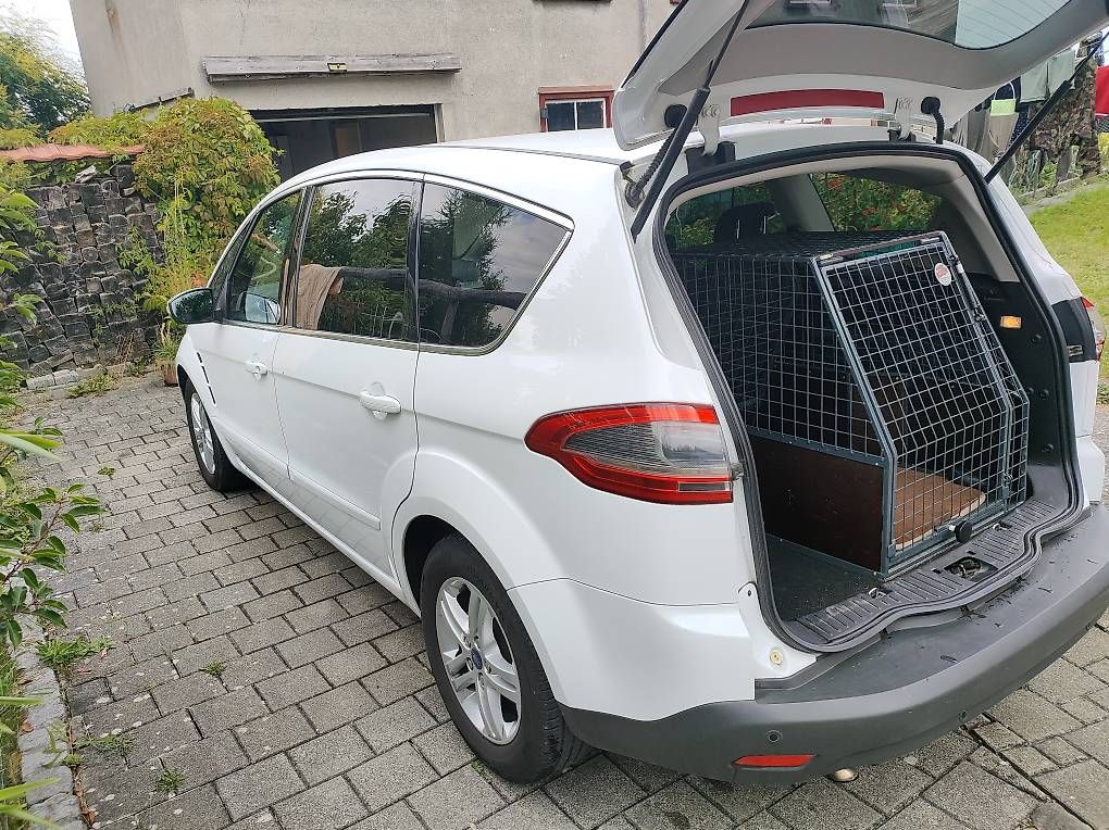Automobili: Ford S Max 2.0 TDCi Titanium ab MFK – Usato da Bichwil venduto da Thogme 2