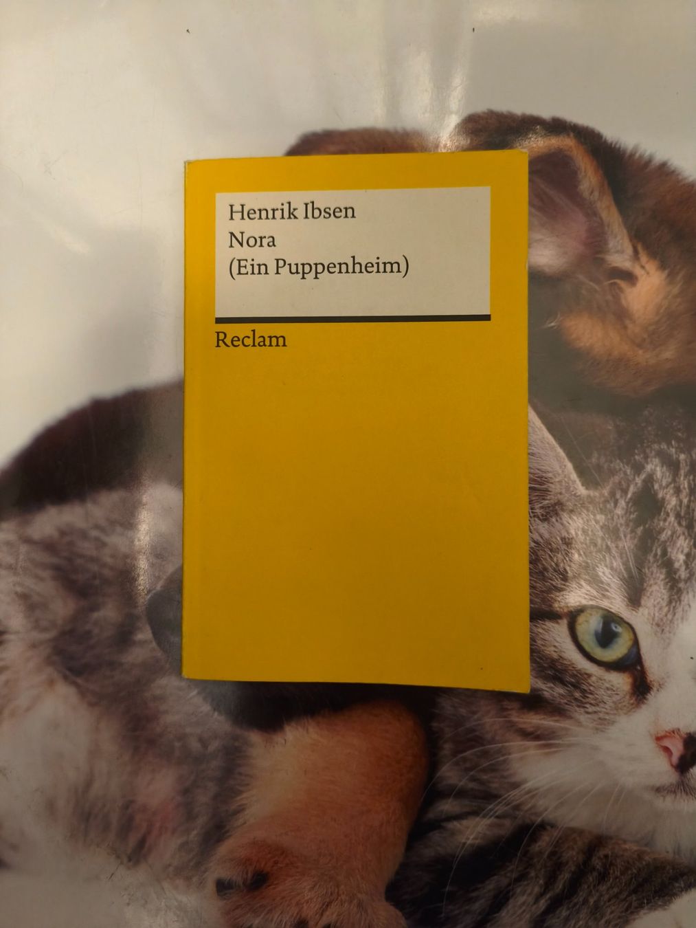 Livres: Nora von Henrik Ibsen – Neuf (Voir description) à Starrkirch-Wil par wae_xd2j