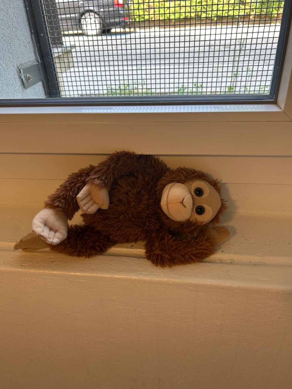 WWF Spielzeuge: Orang Utan Kuscheltier – Neu und originalverpackt aus Wabern von belka72 2