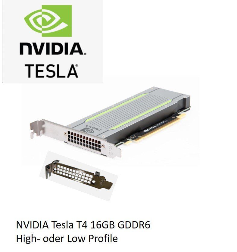 Nvidia Schede grafiche: NVIDIA Tesla T4 16GB Grafikkarte Machine Learning KI GPU – Usato da Meggen venduto da bigbrother_martin