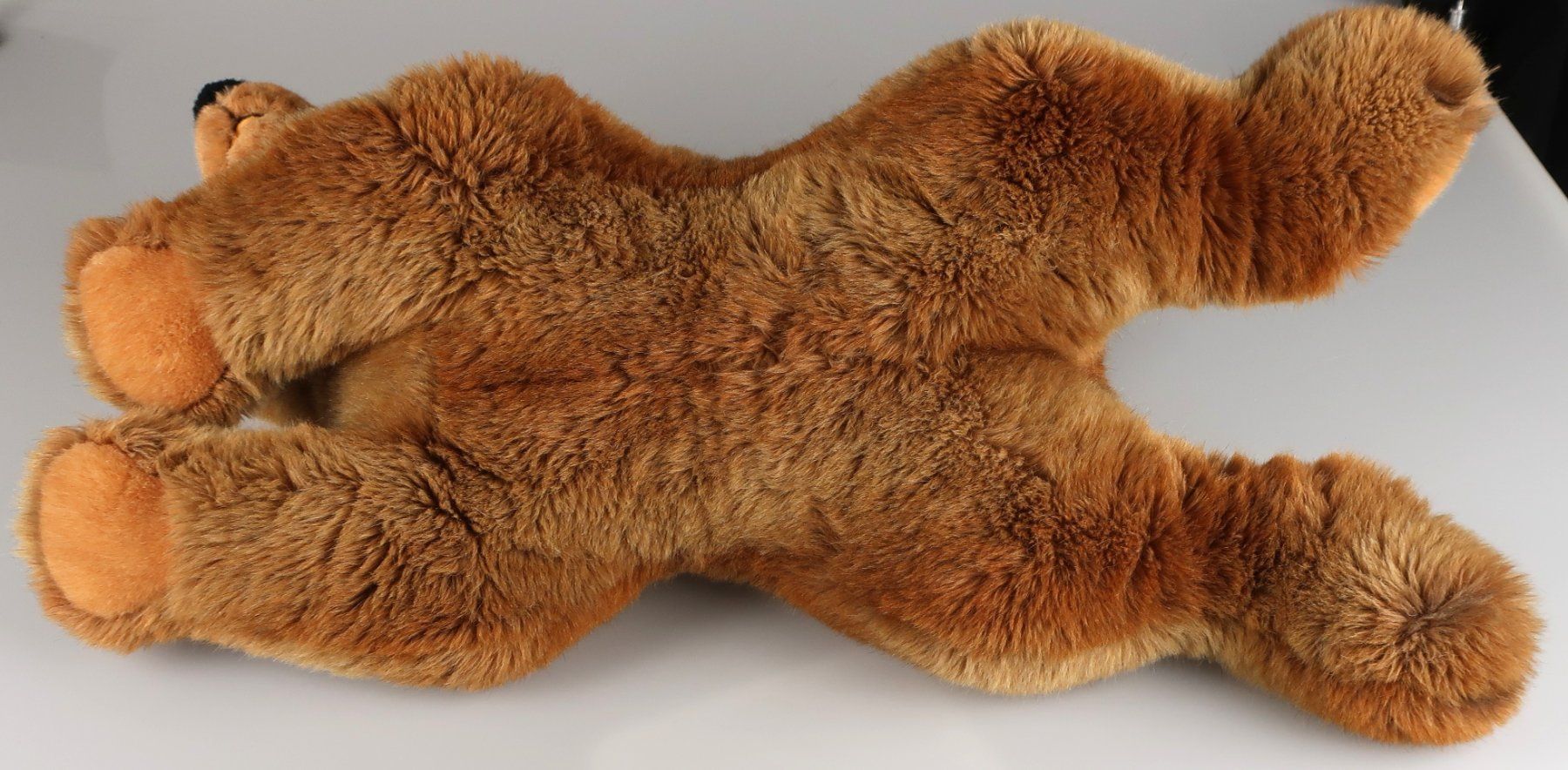 Steiff Spielzeuge: Steiff Braunbär - Stofftier – Gebraucht aus Volketswil von brockipfannenstil 5