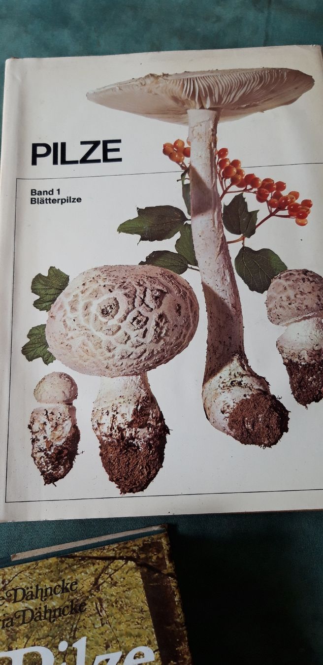 Livres: Pilze, 3 Bücher – D'occasion à Neuenhof par elRey123 2