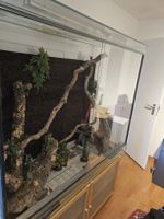 Terrarium Set mit Zubehör gebraucht in gutem Zustand
