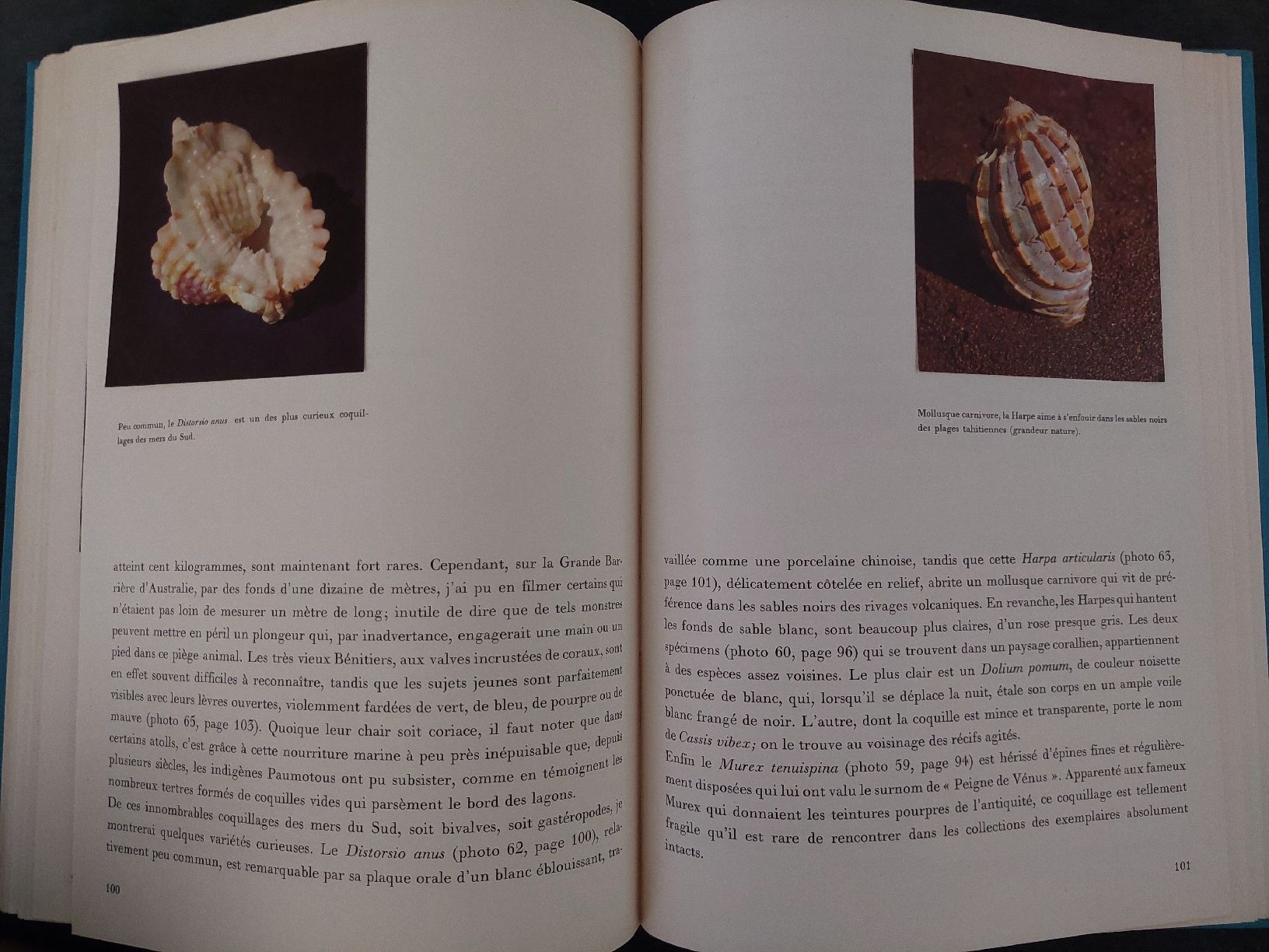 Libri: Paradis sous-marins du Pacifique – Usato da Yverdon-les-Bains venduto da pri_x6j6 5