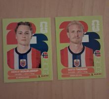 WM-Panini Sticker 2026 Norwegen
