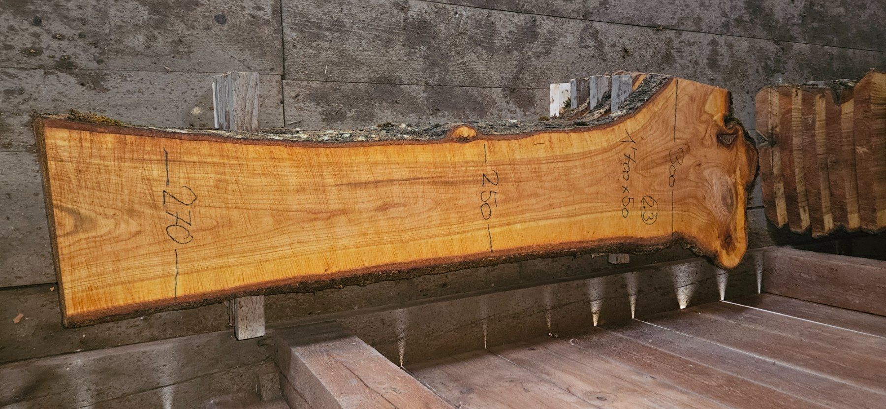 Articoli in legno: Kirschbaumbretter – Nuovo (secondo la descrizione) da Vielbringen Worb venduto da lua_cm7v 3