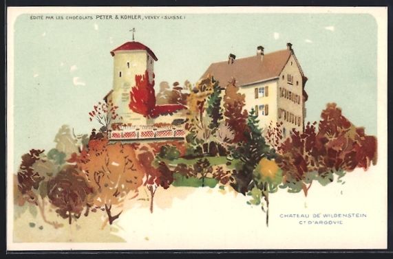 Cartes postales: Wildenstein, Chateau, Blick auf das Schl – D'occasion à Berlin par bartko-reher