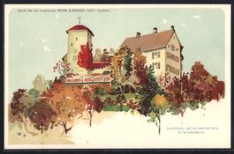 Wildenstein, Chateau, Blick auf das Schl
