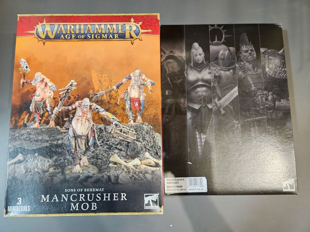 Warhammer Age of Sigmar Sons of Behemat | Acheter sur Ricardo