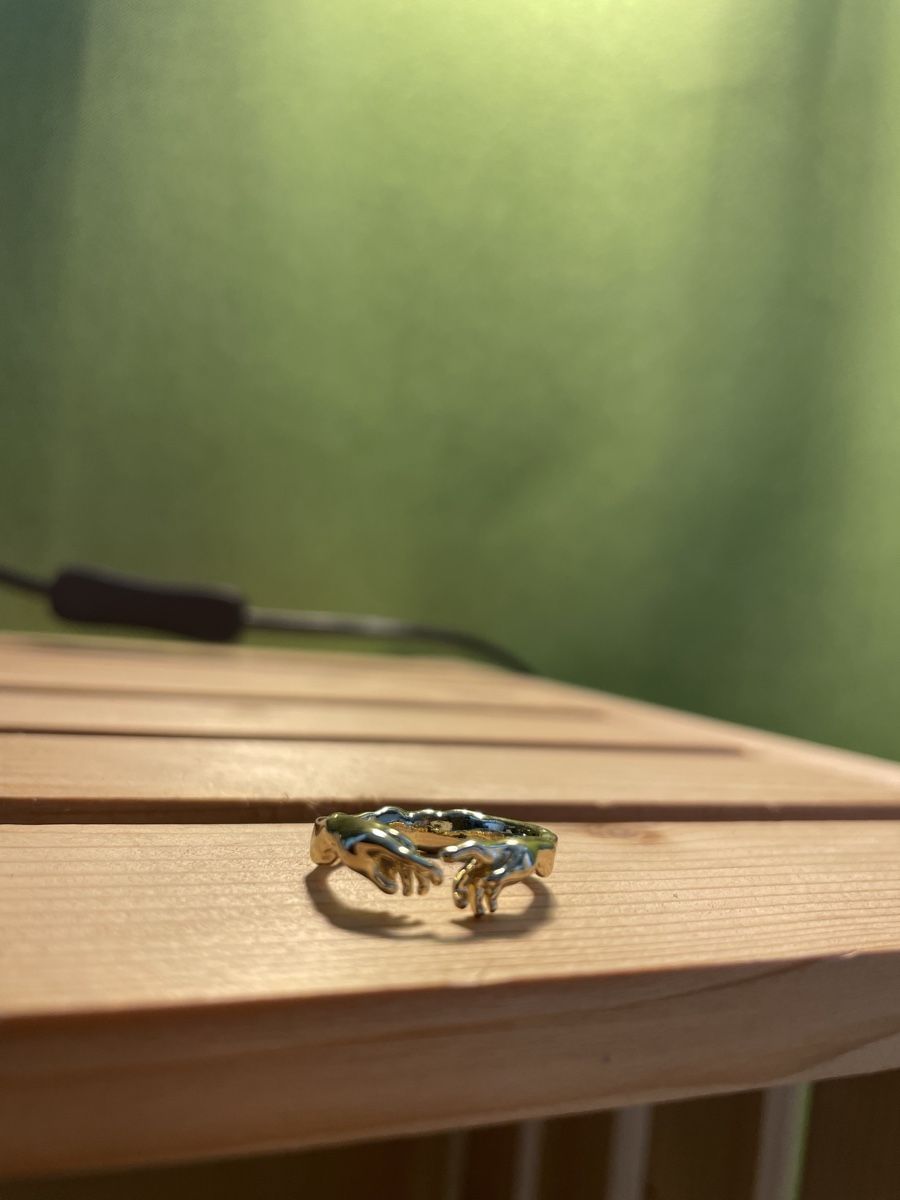 Anelli: Goldener Ring mit Hände-Design – Nuovo (secondo la descrizione) da Dittingen venduto da nje_9nlt 2