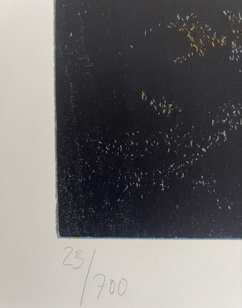 Grafica & Litografie: Roland Flück, handsigniert, nummeriert – Usato da Rain venduto da Pic-Ass 4