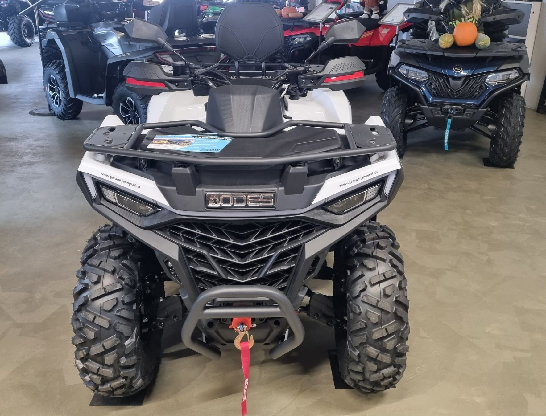Polaris ATV / Quad: Aodes Pathcross 520 Luxury 4x4 – Nuovo (secondo la descrizione) da Trimmis venduto da 0004 5