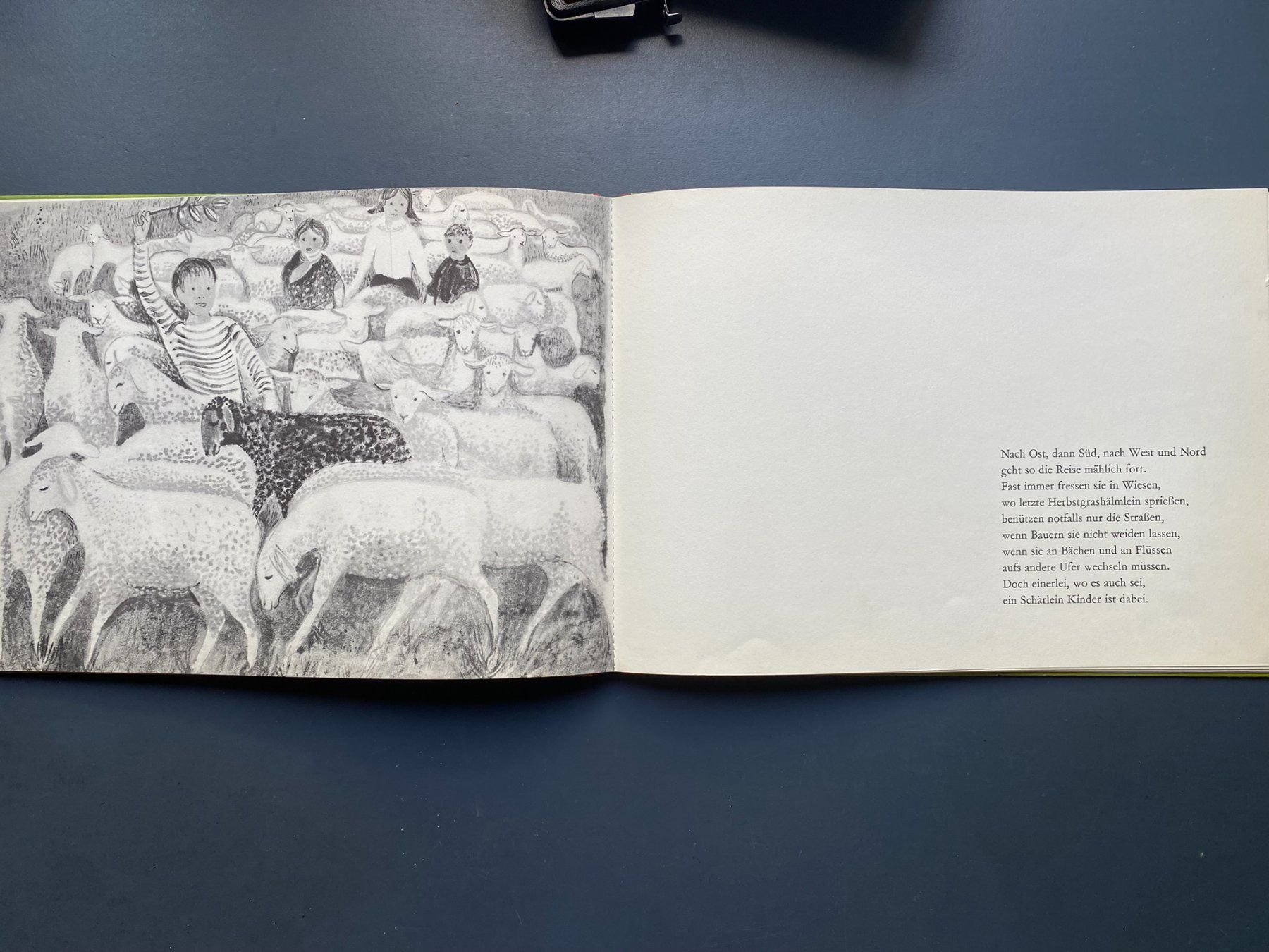 Libri: Möhrli - Die Geschichte eines schwarzen Schafes – Usato da Zürich venduto da jesulin05 7