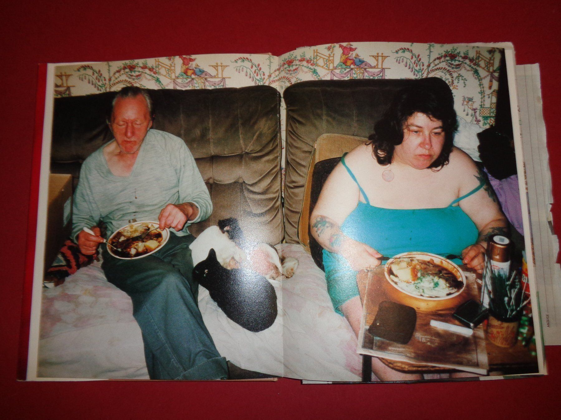 Livres: RICHARD Billingham Ray is`n Witz – D'occasion à Welschenrohr par Regool 5