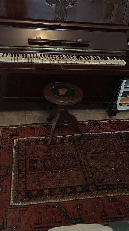 Instruments de musique: Pianoforte verticale Ed. Seiler  – D'occasion à Riva San Vitale par nev_9qn9 4