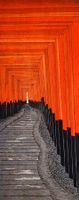 Teruhide Kato-Estampe japonaise originale –1000 Tori- Temple