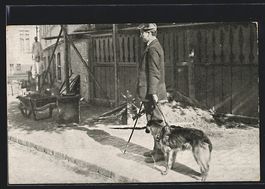 Blindenführerhund macht seinen Herrn au